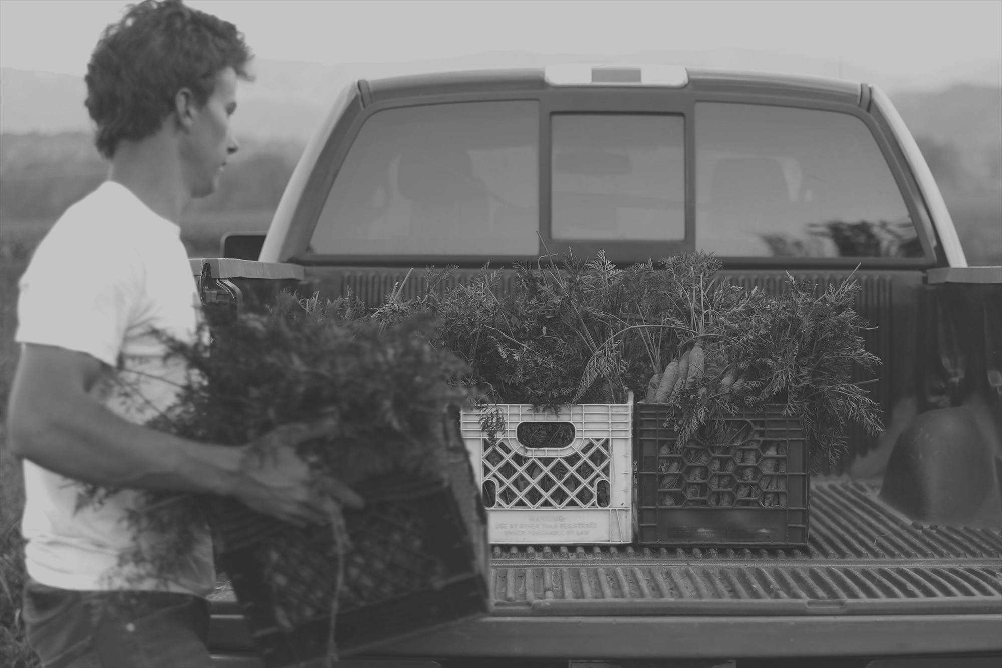 blackwater-ministerial-food-pantry-davis-west-virginia